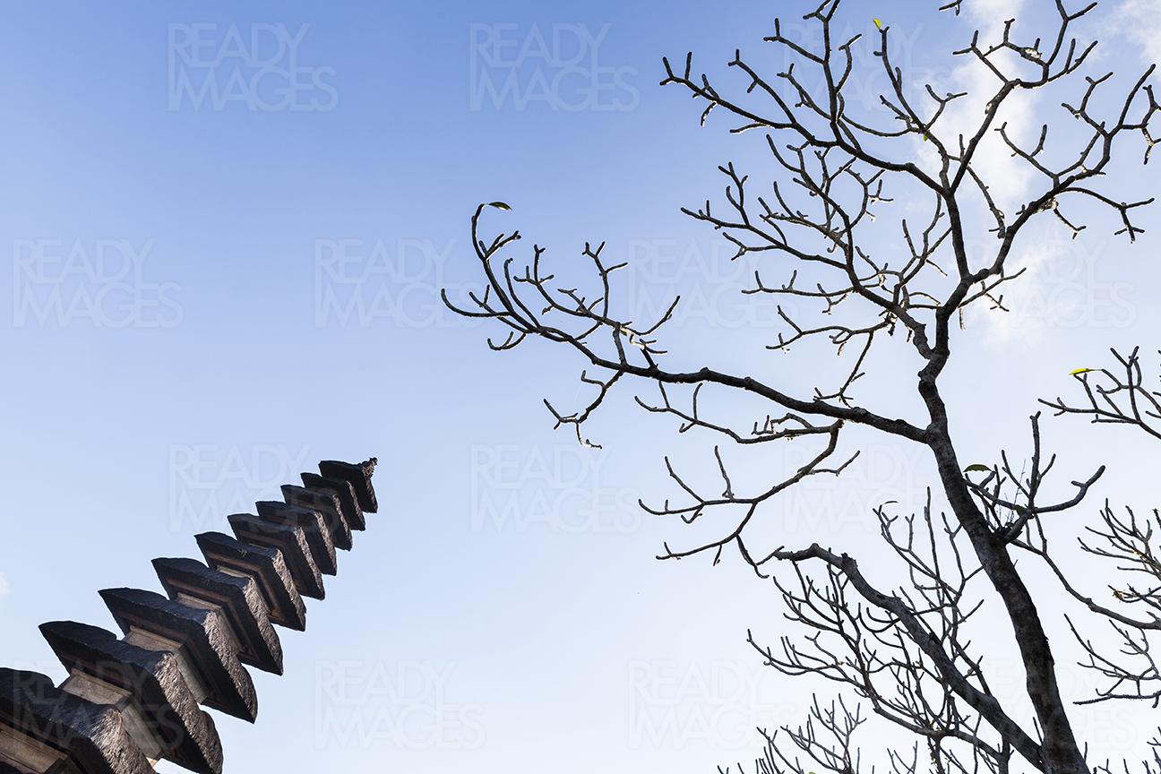 Fine Art image of Meru towers, pagoda-like shrines and dry tree, taken on a clear blue sky