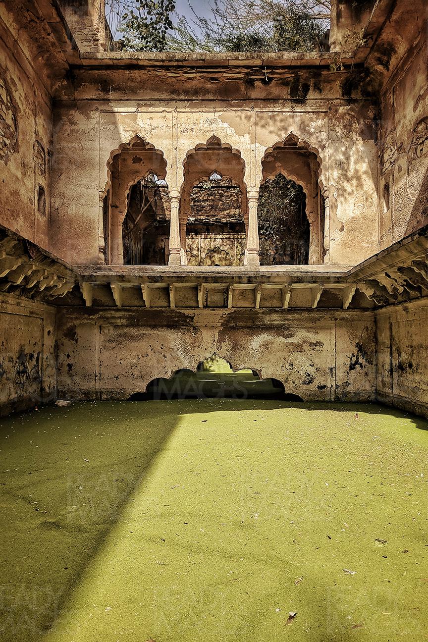 Image of a half-submerged Stepwell in water covered in green algae