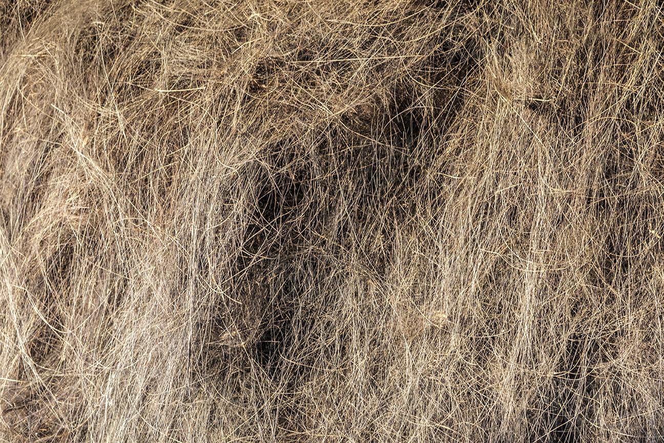 Close-up image of a stack of hay