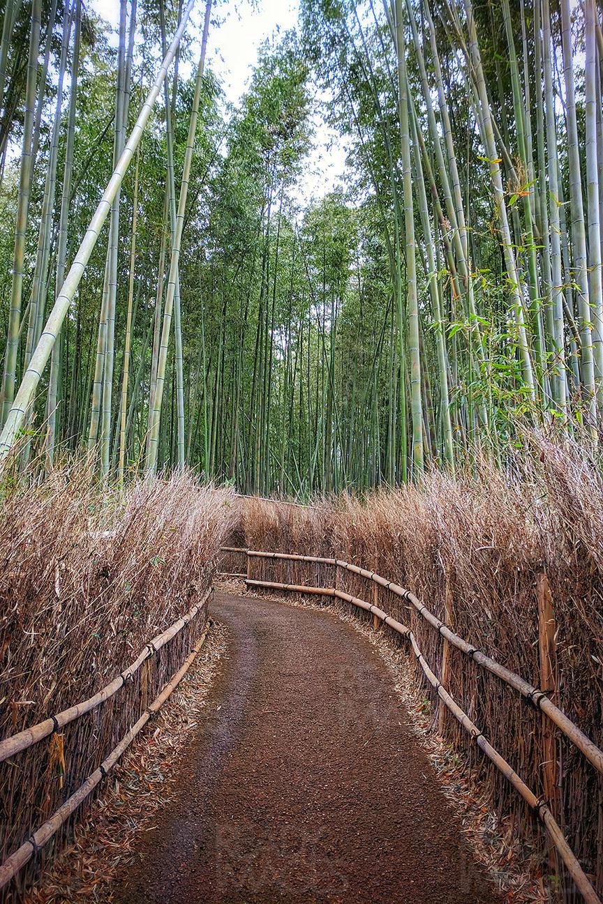 Walkway in Arashiyama, one of the most visited tourist sites in Kyoto