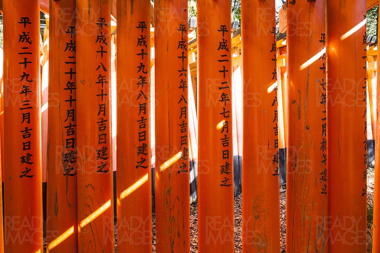 Posts of Torri Gates forming a tunnel at Fushimi Inari, a must-visit place in Kyoto