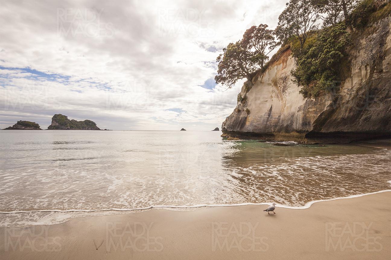 Secluded beach - Stingray Bay on way to Cathedral Cove in the Coromandel, New Zealand