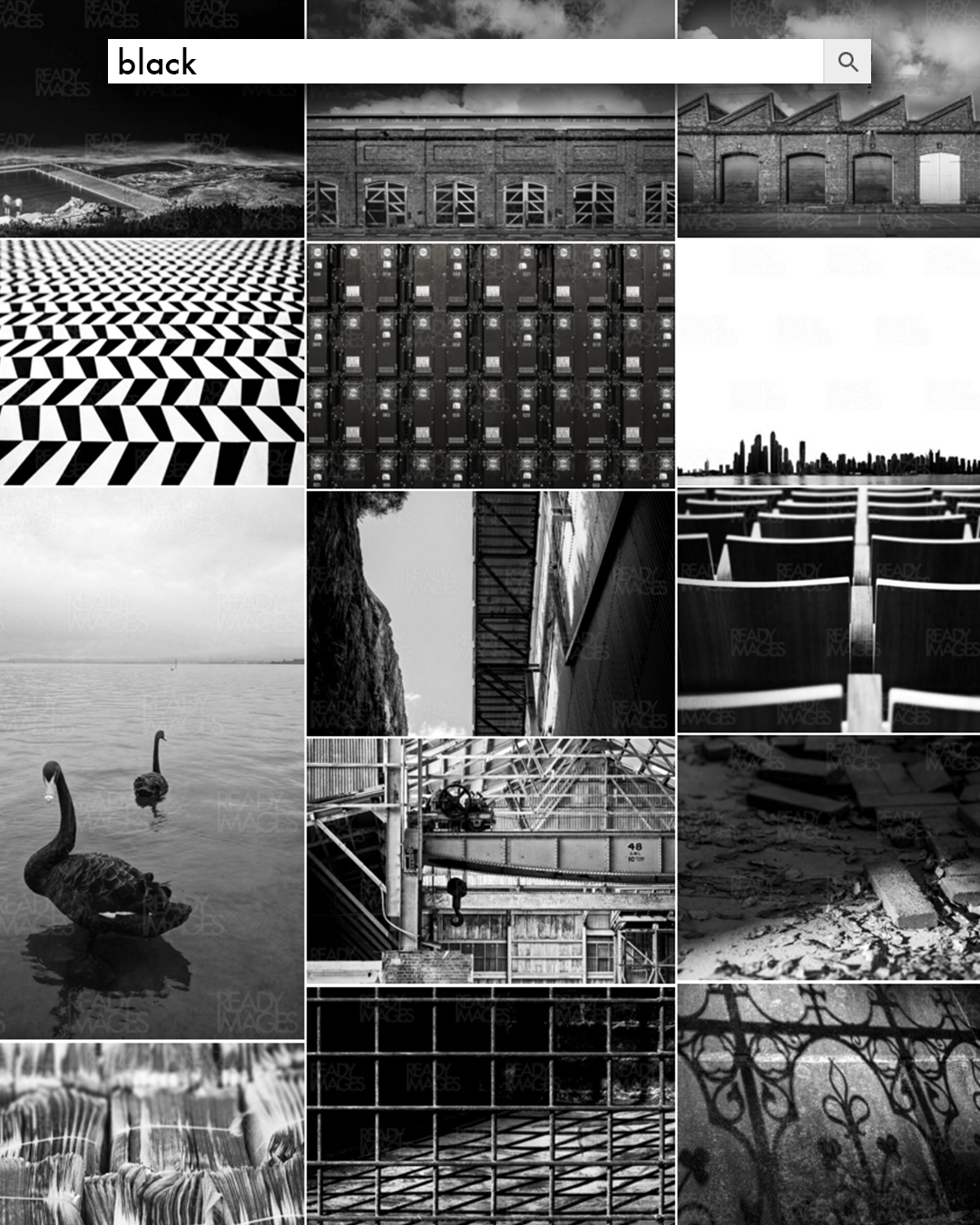 Collection of images with Black and white colour